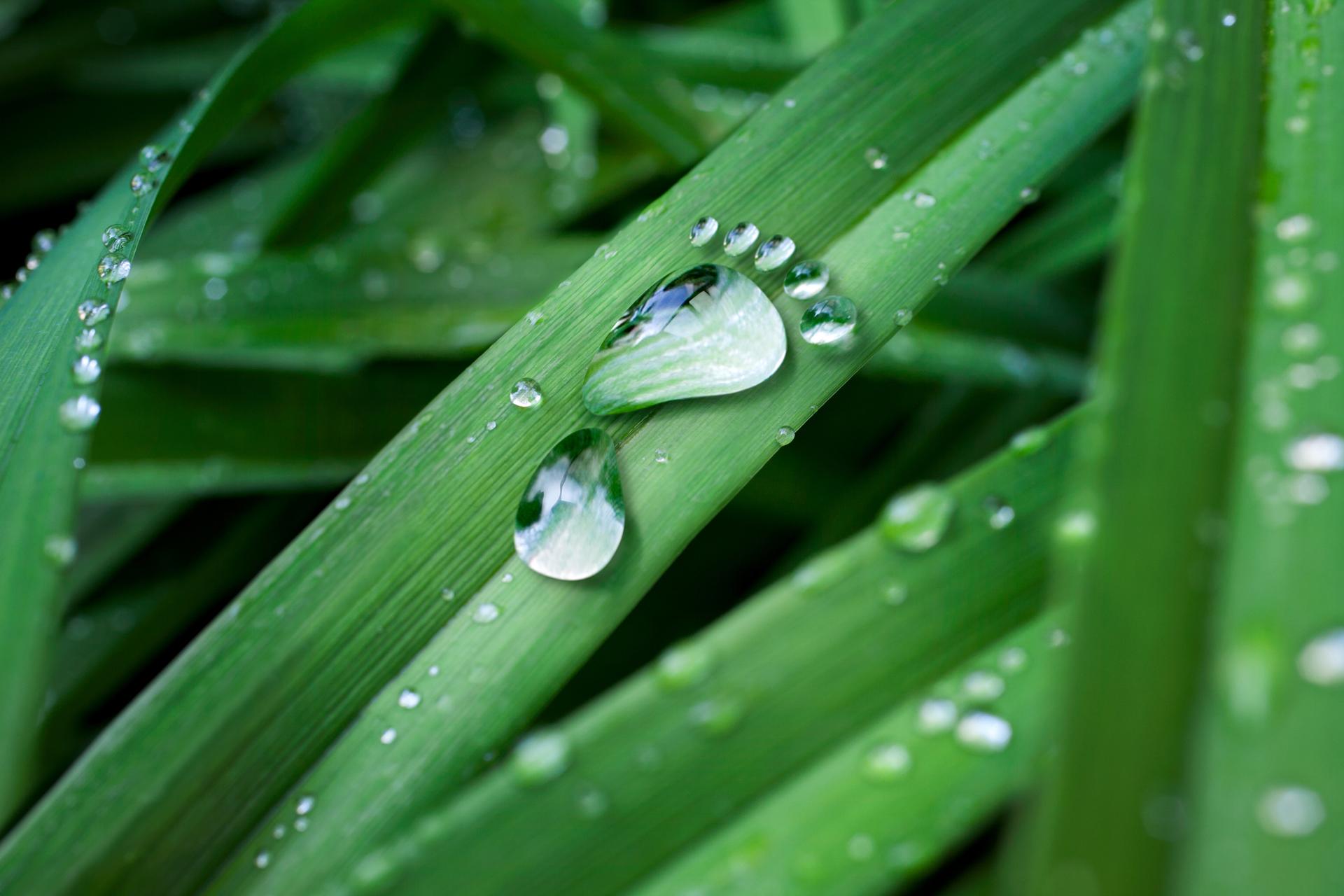 Green footprint